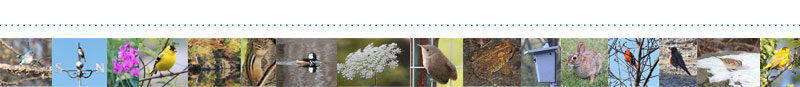 Nahanton Park Banner Nature Photos