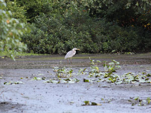 Photo of Pond